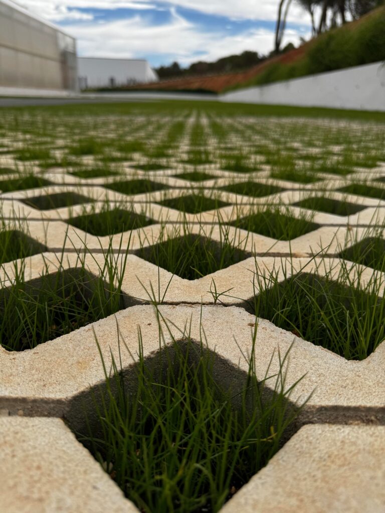 Pavicesped (Hector Olmeda)