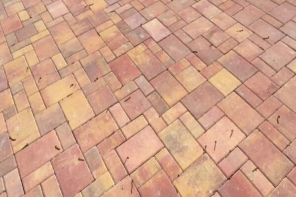 tomelloso-1024x1024 tomelloso-1024x1024